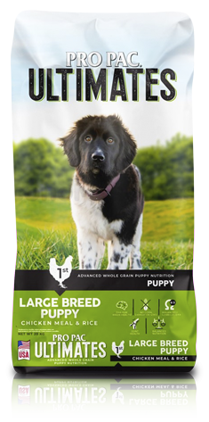 Large Breed Puppy – Chicken Meal & Rice