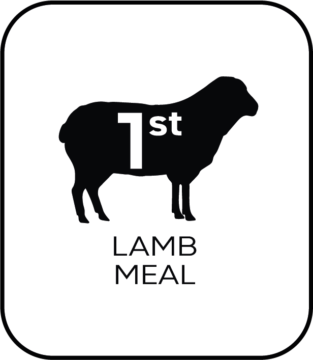 lamb meal